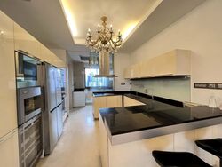 Parkview Eclat (D10), Condominium #543043131